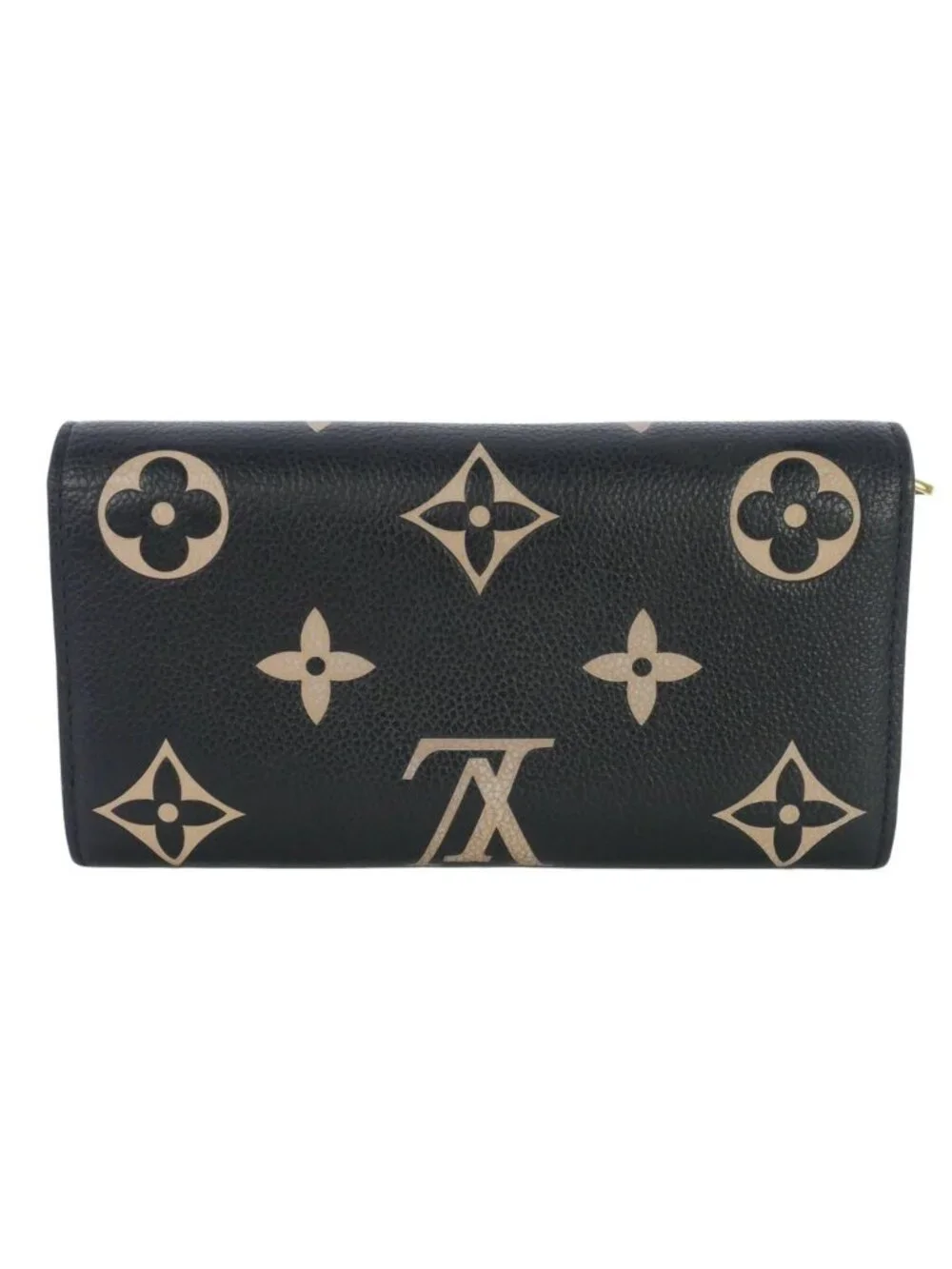 Louis Vuitton name louis